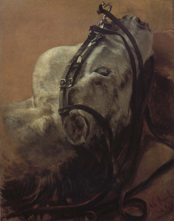 Euine Study,Recumbent Head in Harness